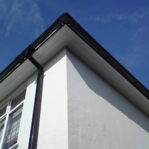 Guttering Birchwood